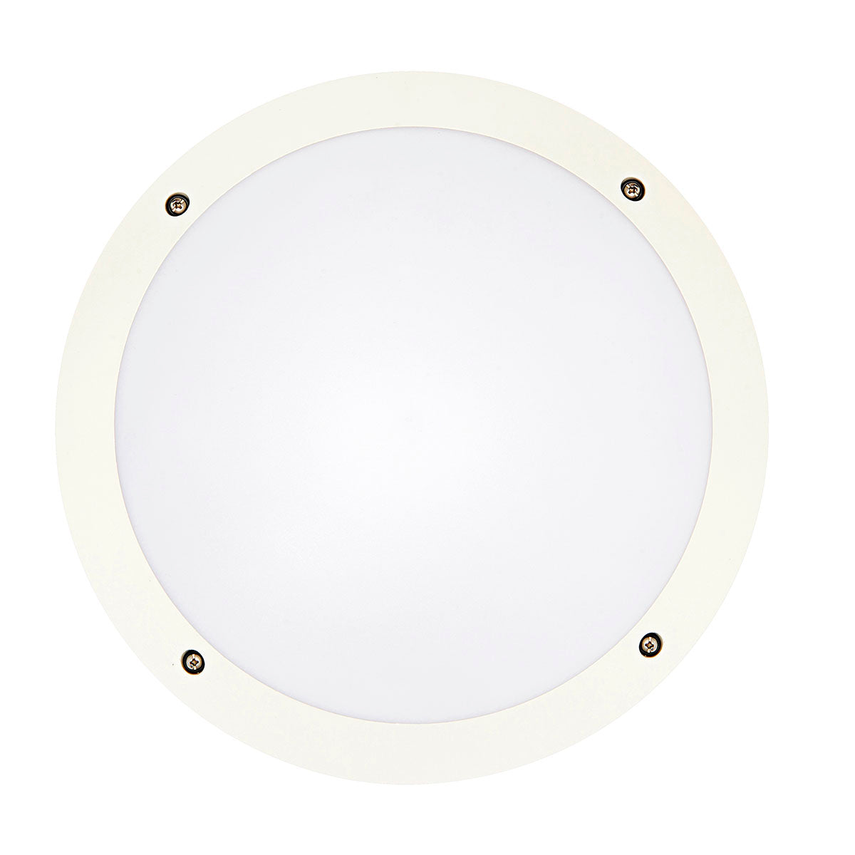 Hardy LED 12w Vandal-Proof Round Bunker - White