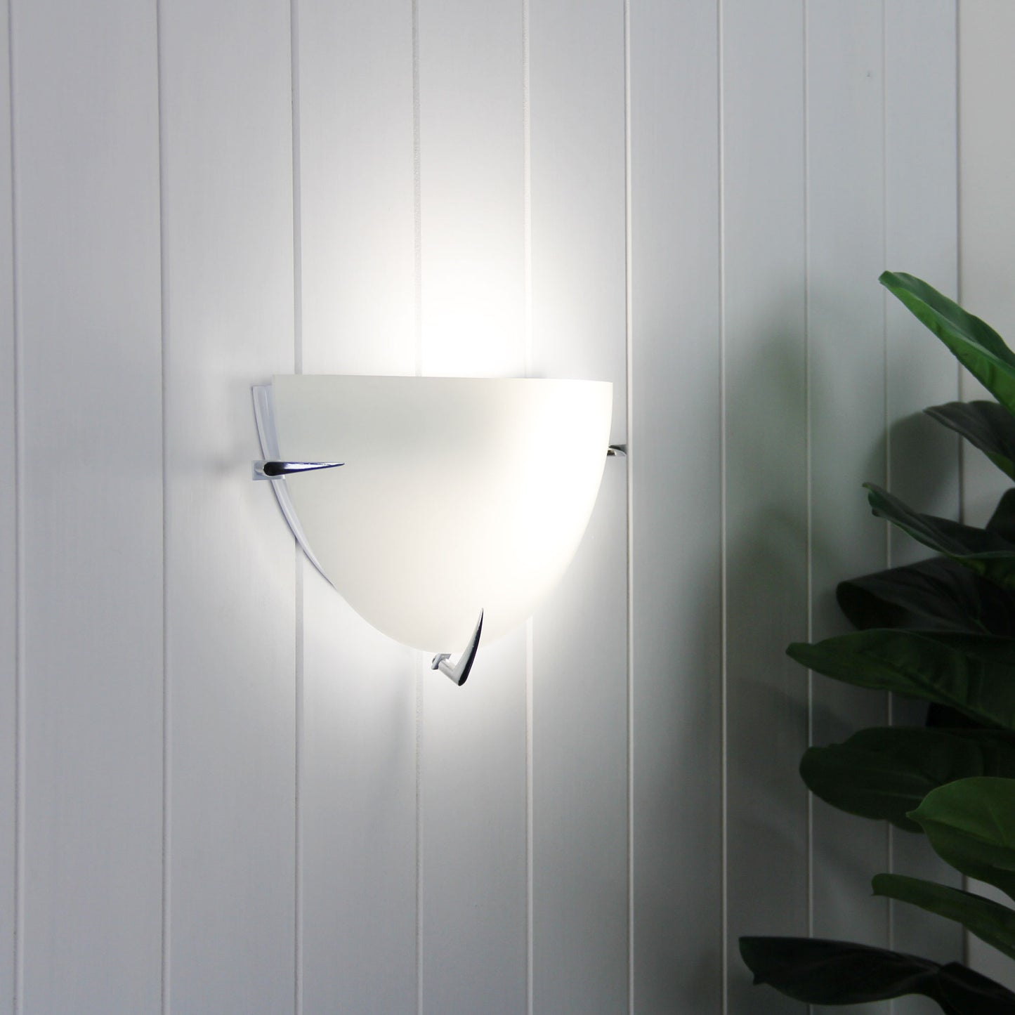 Claw 30cm Wall Light