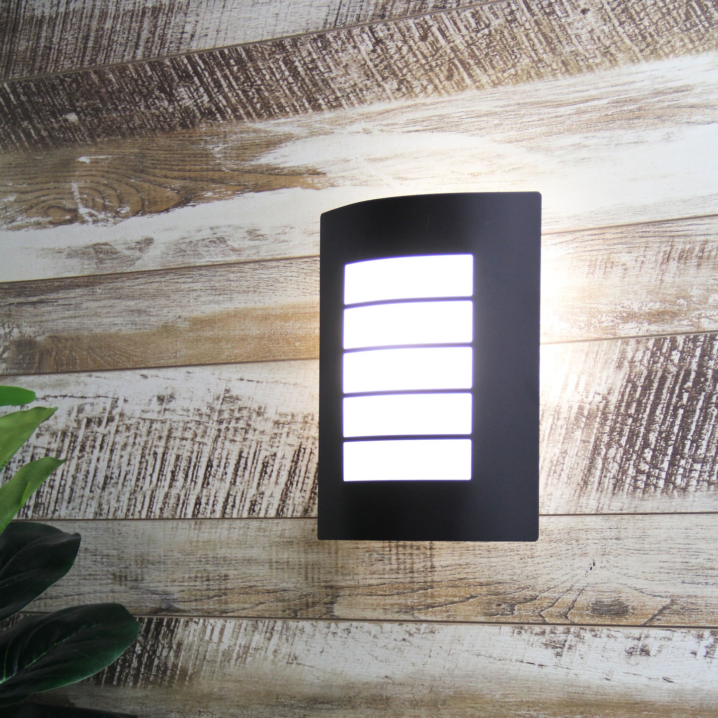 Cheeta Wall Light Black
