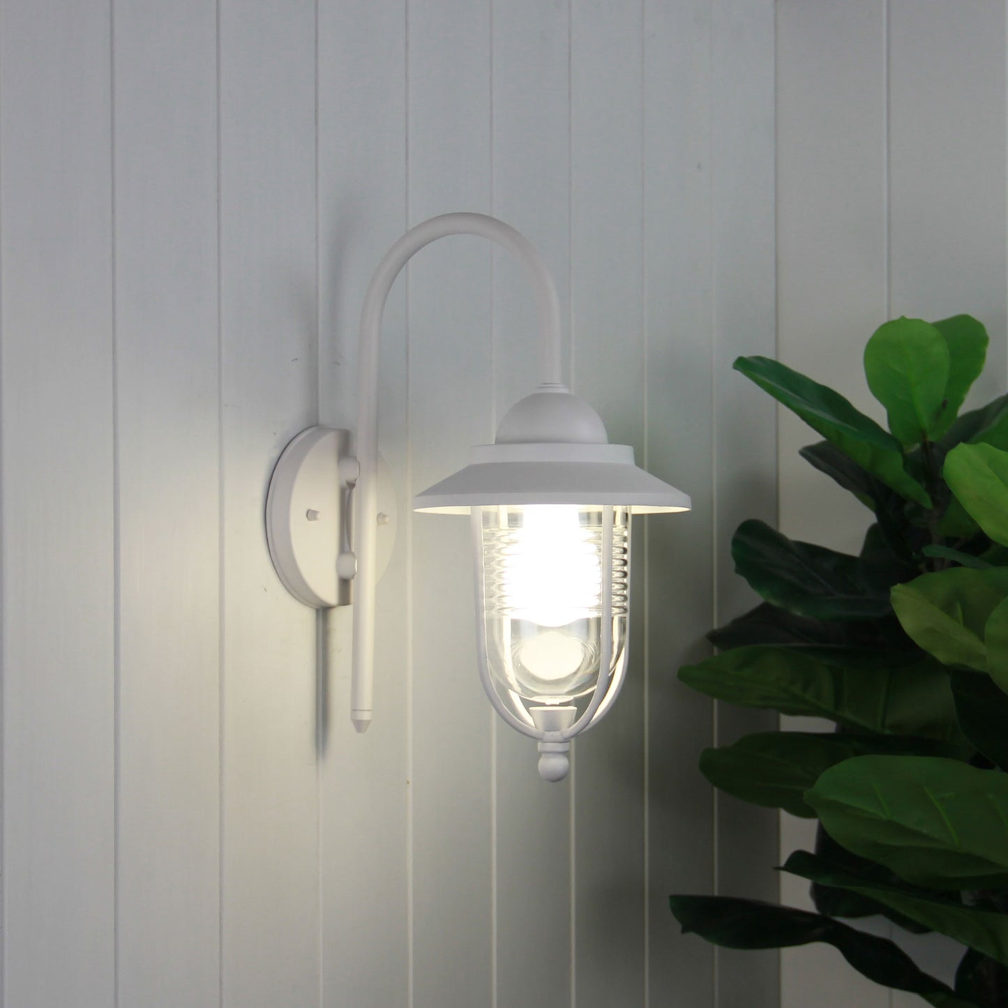 Domo Ext Wall Bkt Textured White / Clear