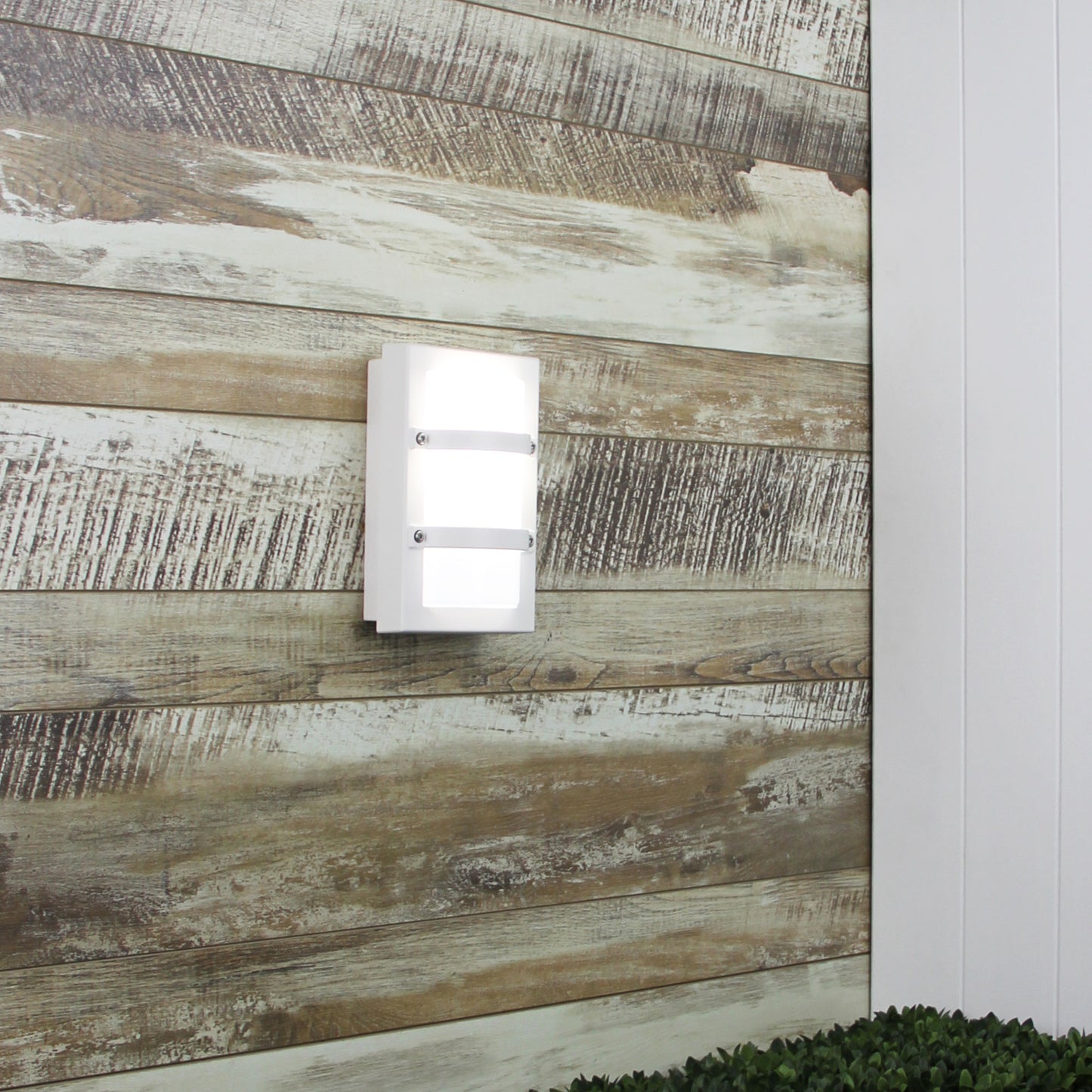 Mini Trio White Bulkhead